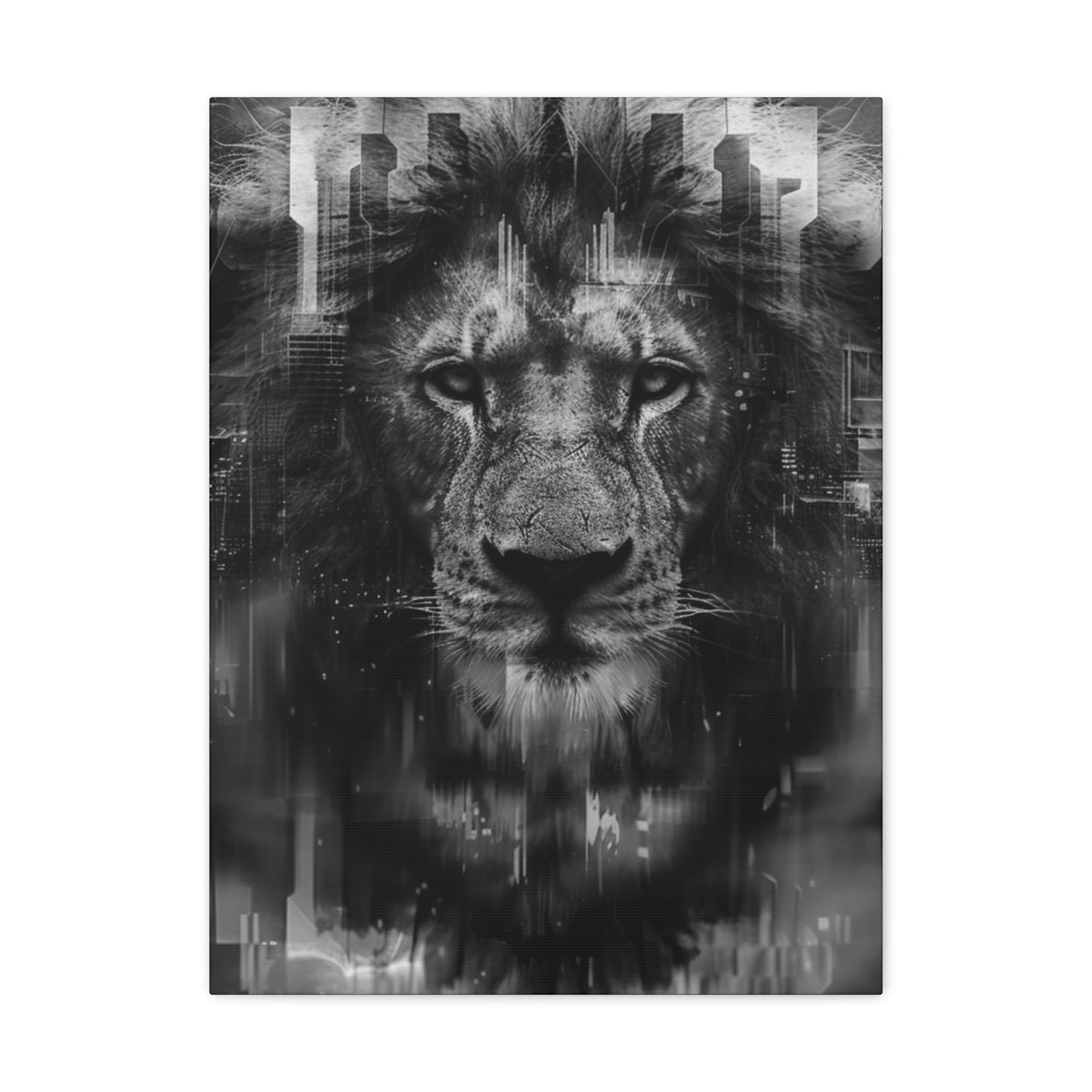 "King of the City" Canvas Gallery Wrap (Black and White)